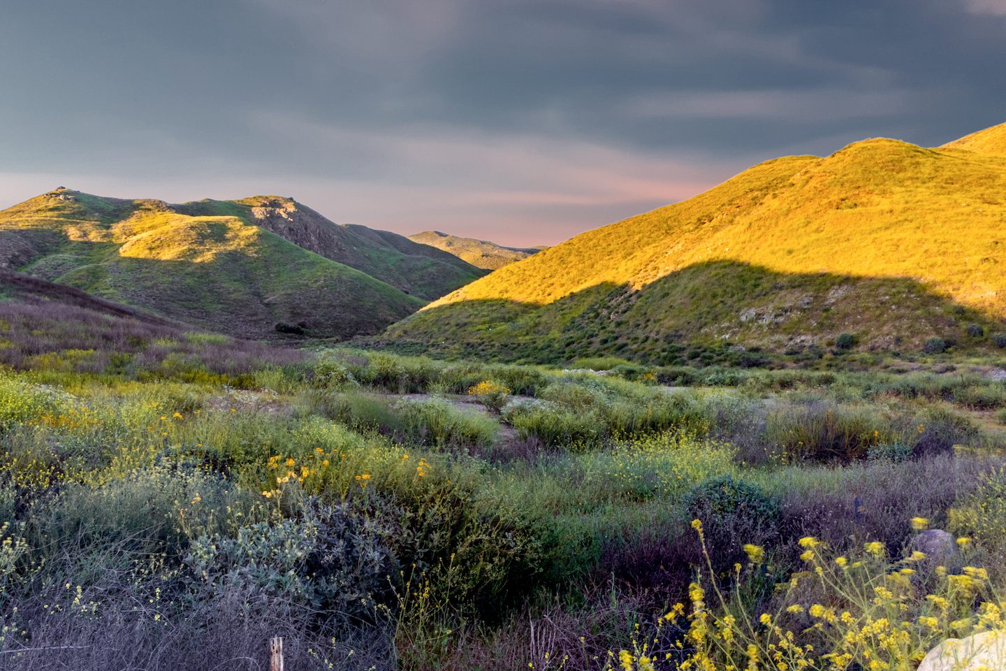 California: Riverside Legacy - Ecosystem Investment Partners